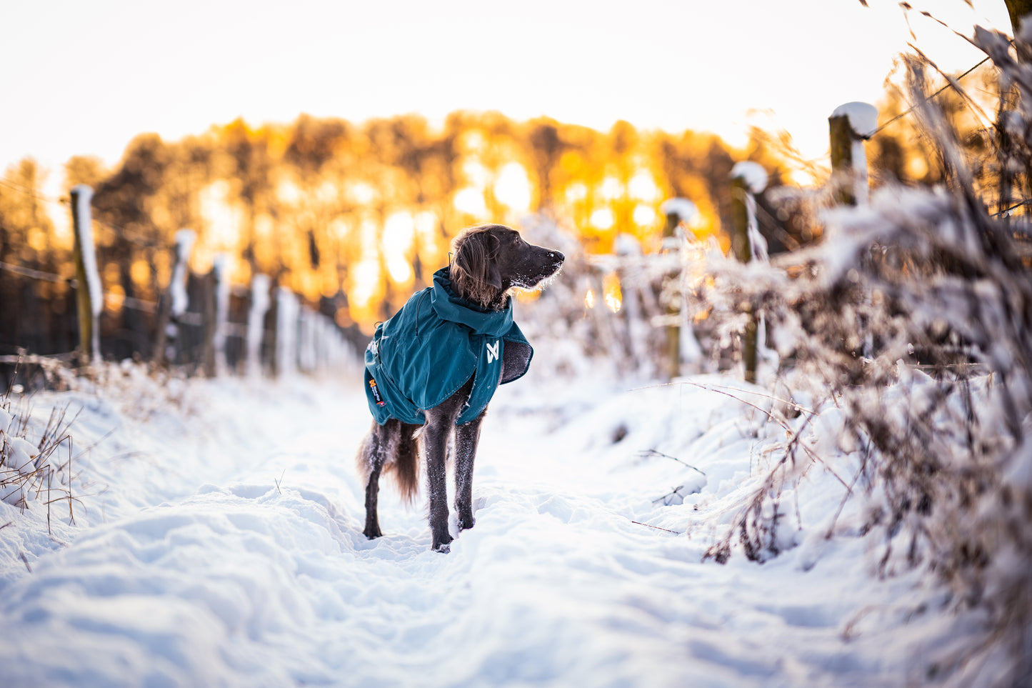 Non-stop dogwear - Fjord lined Raincoat
