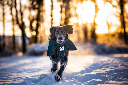 Non-stop dogwear - Fjord lined Raincoat