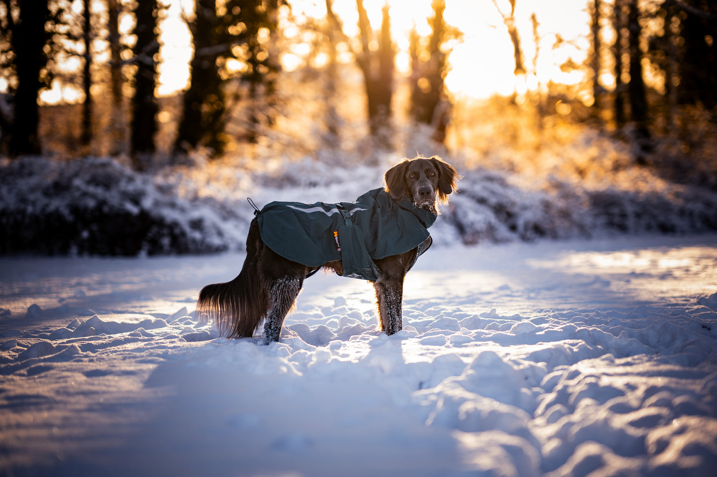 Non-stop dogwear - Fjord lined Raincoat