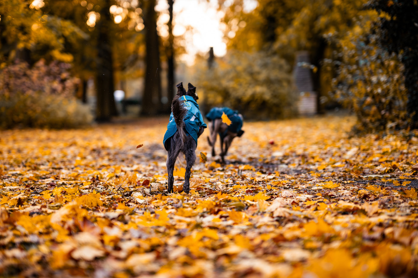 Non-stop dogwear - Fjord lined Raincoat