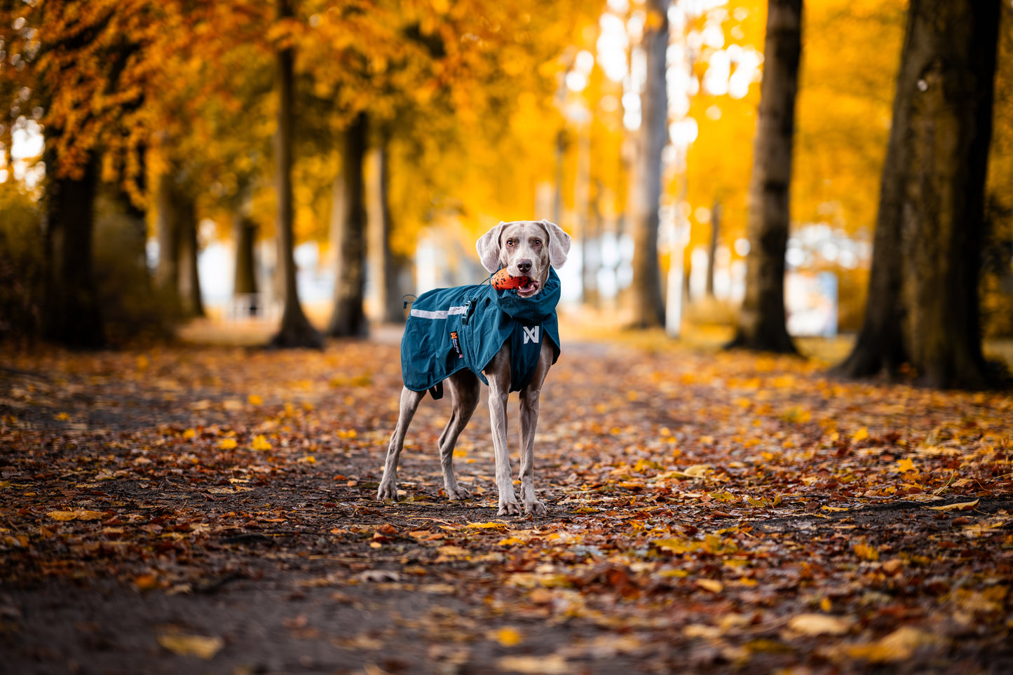 Non-stop dogwear - Fjord lined Raincoat