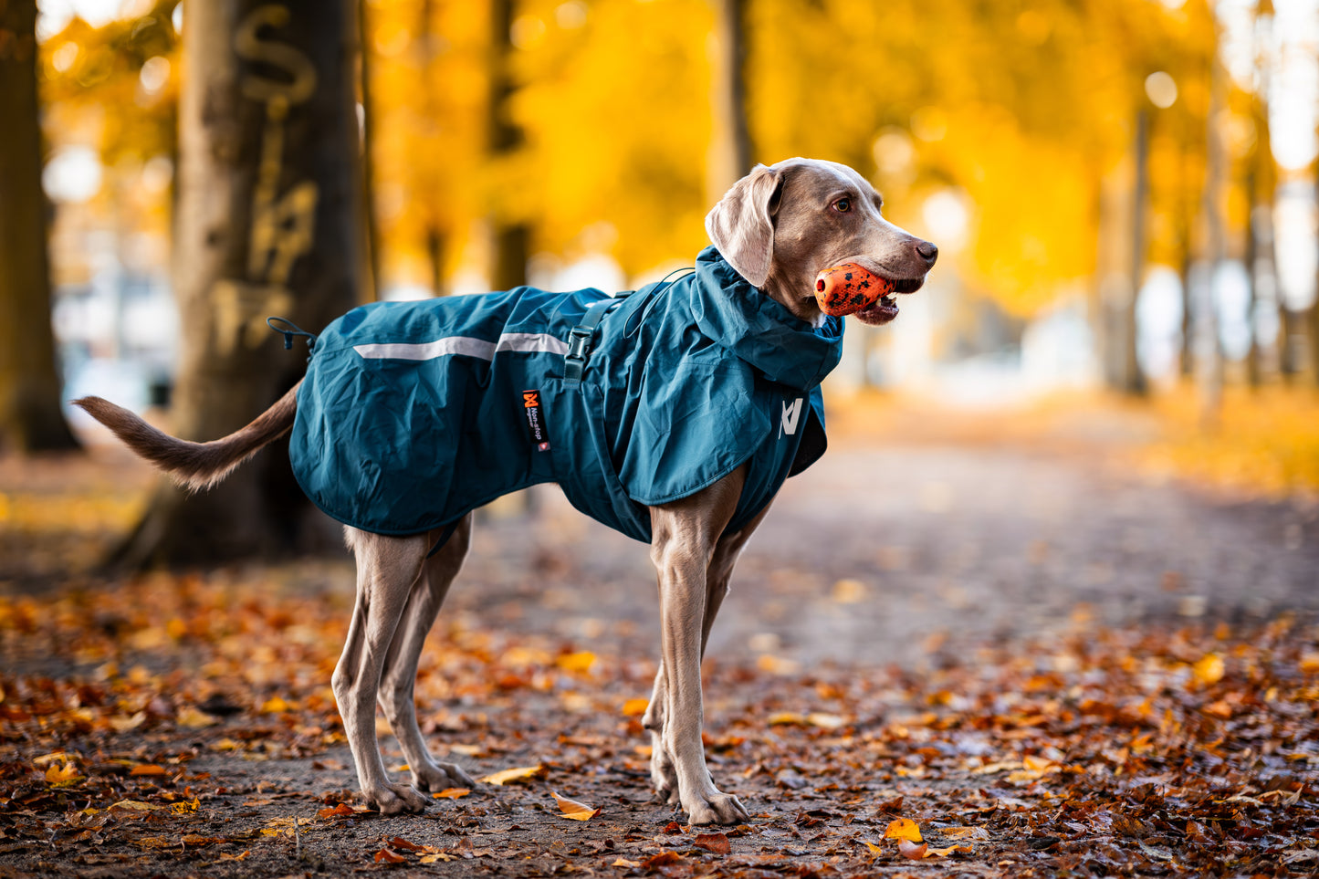 Non-stop dogwear - Fjord lined Raincoat