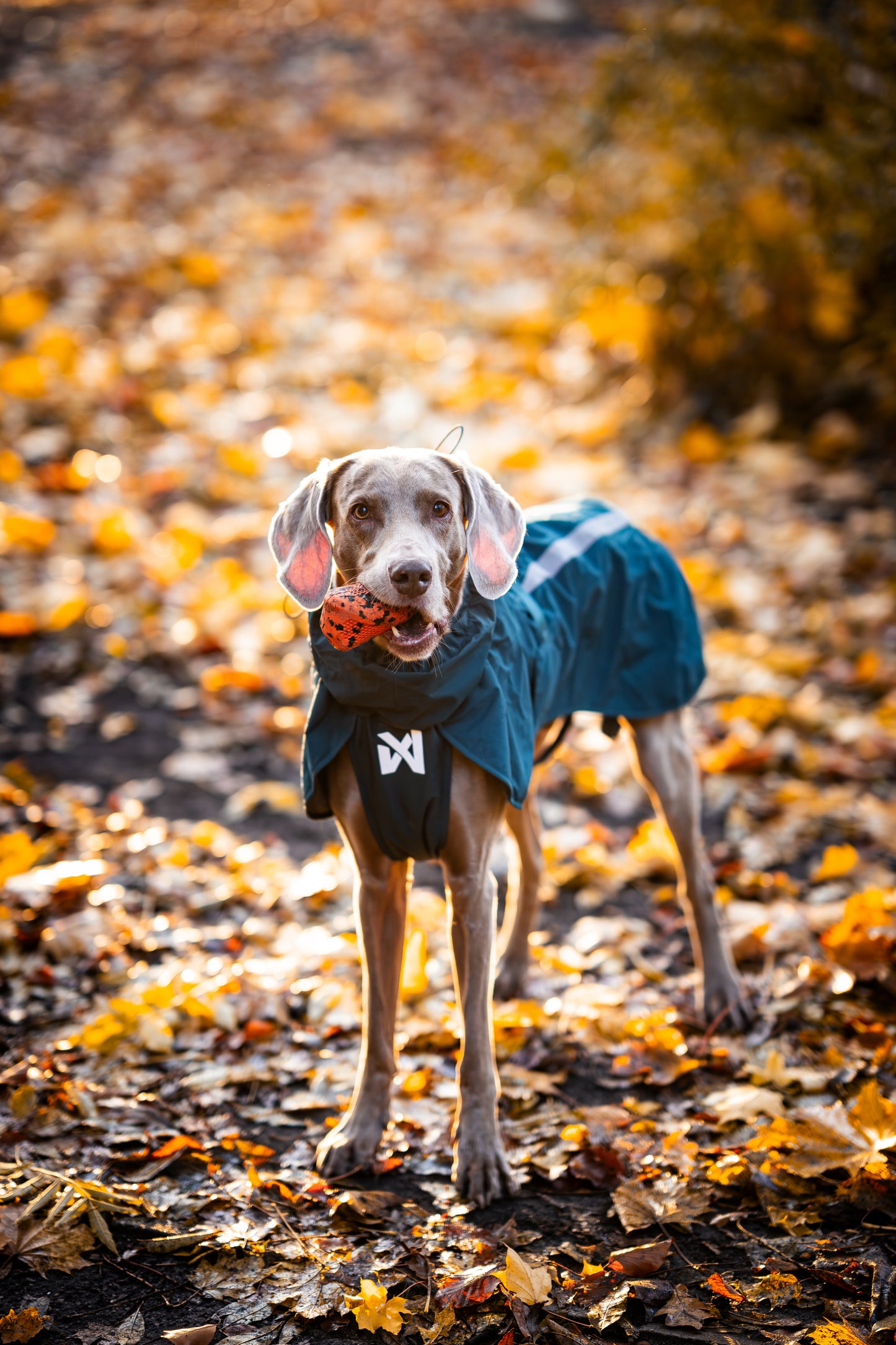 Non-stop dogwear - Fjord lined Raincoat