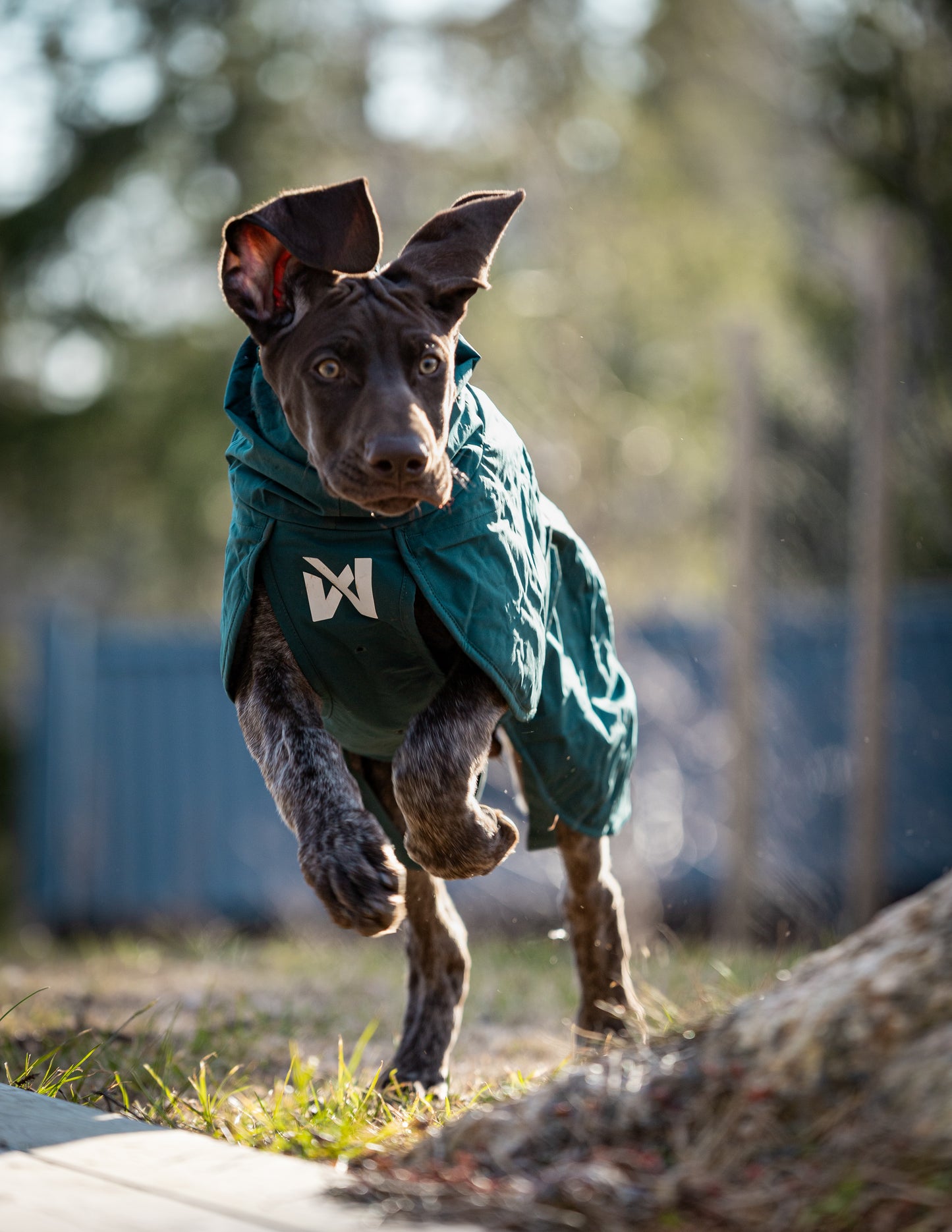 Non-stop dogwear - Fjord lined Raincoat