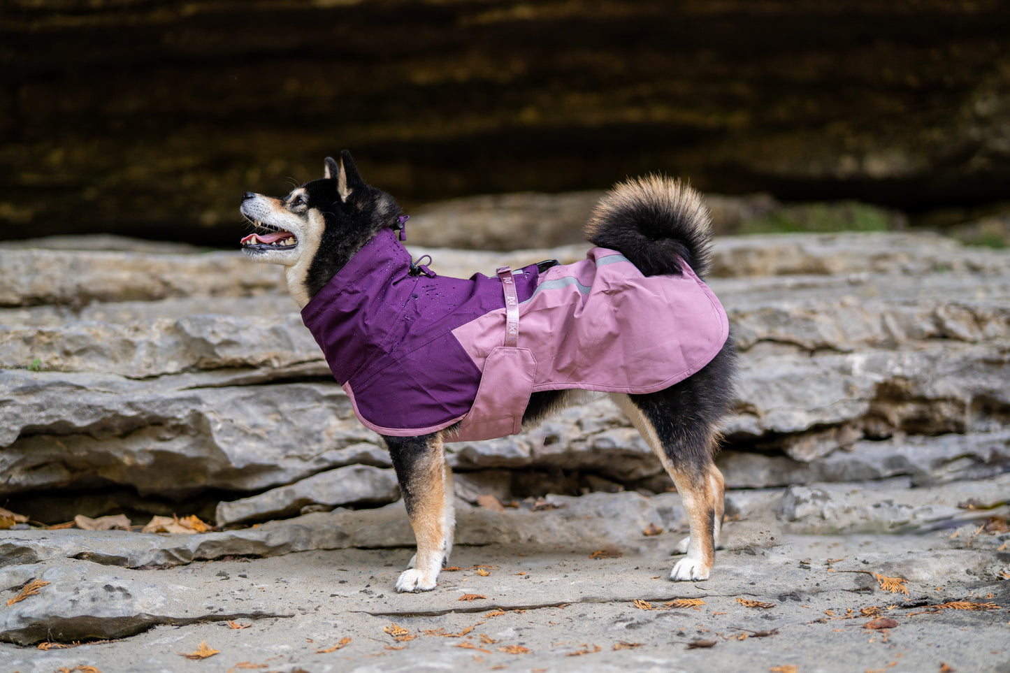 Non-stop dogwear - Fjord Raincoat 2.0