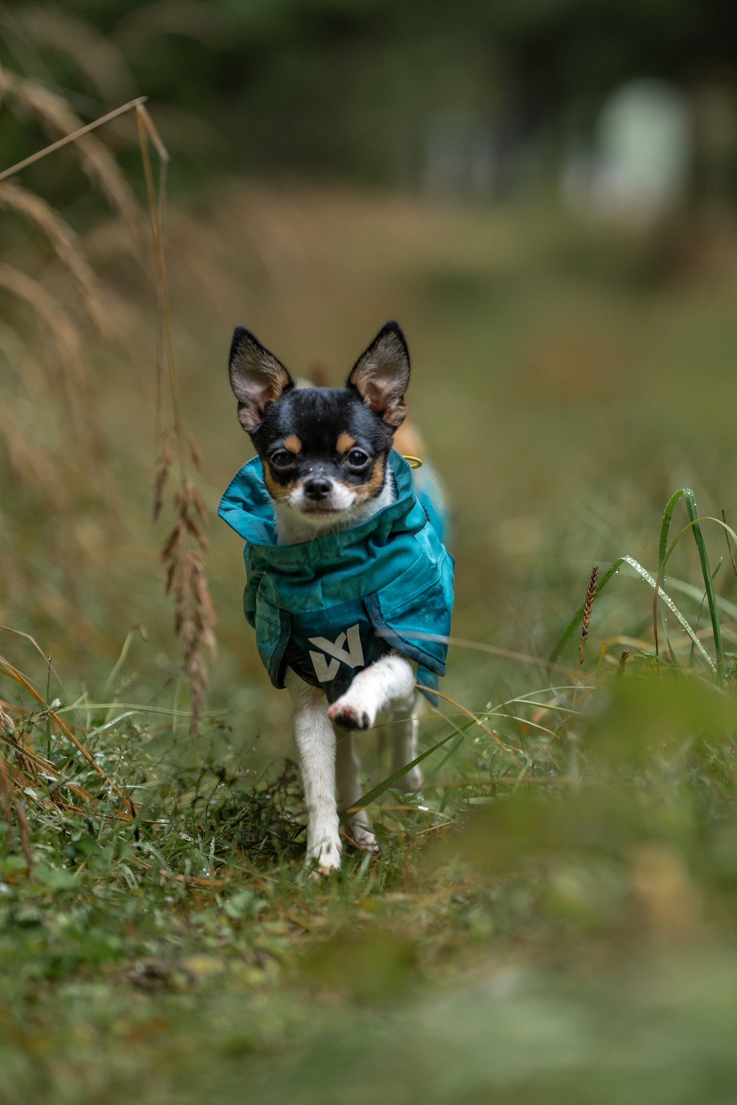 Non-stop dogwear - Fjord Raincoat 2.0