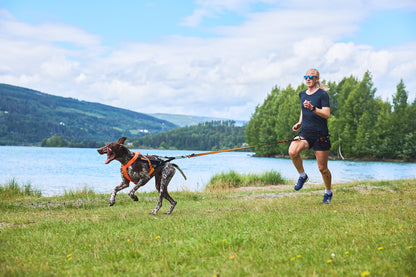 Non-stop dogwear - Freemotion harness 5.0