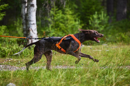 Non-stop dogwear - Freemotion harness 5.0