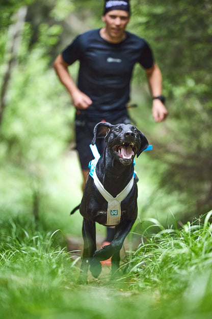 Non-stop dogwear - Freemotion harness 5.0