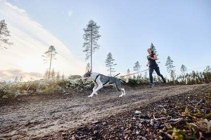 Non-stop dogwear - Freemotion harness