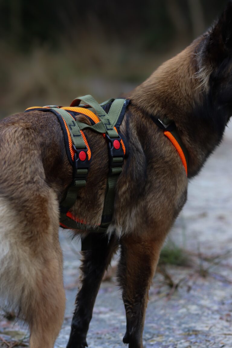 Sledwork - Open Range Harness – Adventure