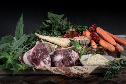 Kaltgepresstes Trockenfutter Lamm mit Hirse/Pastinake