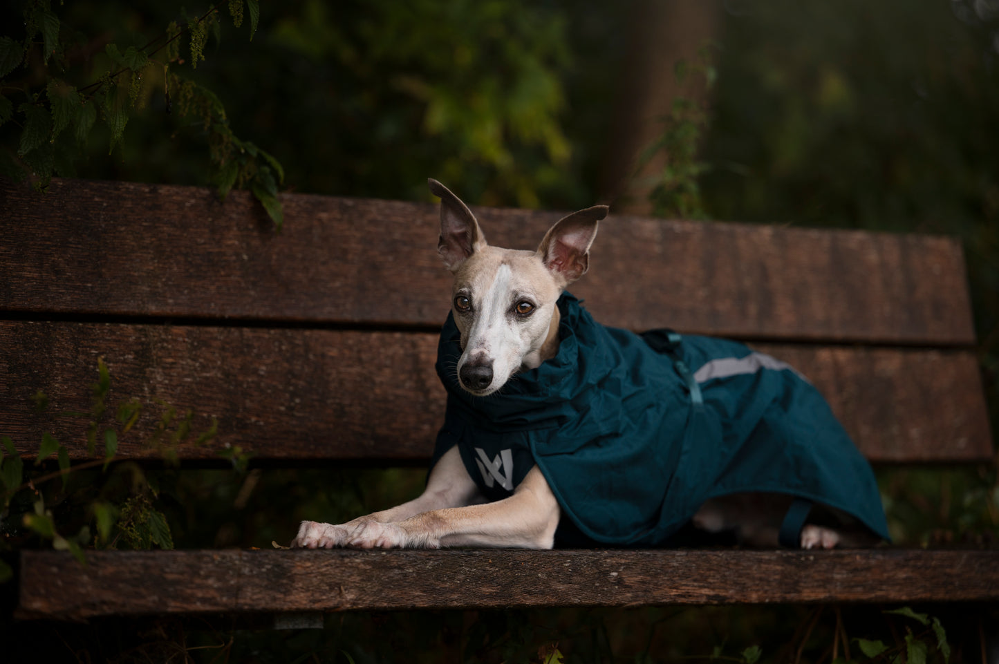 Non-stop dogwear - Fjord lined Raincoat