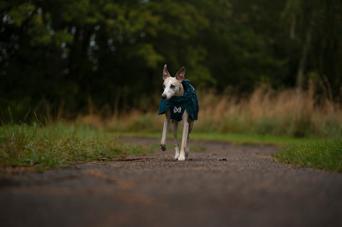 Non-stop dogwear - Fjord lined Raincoat