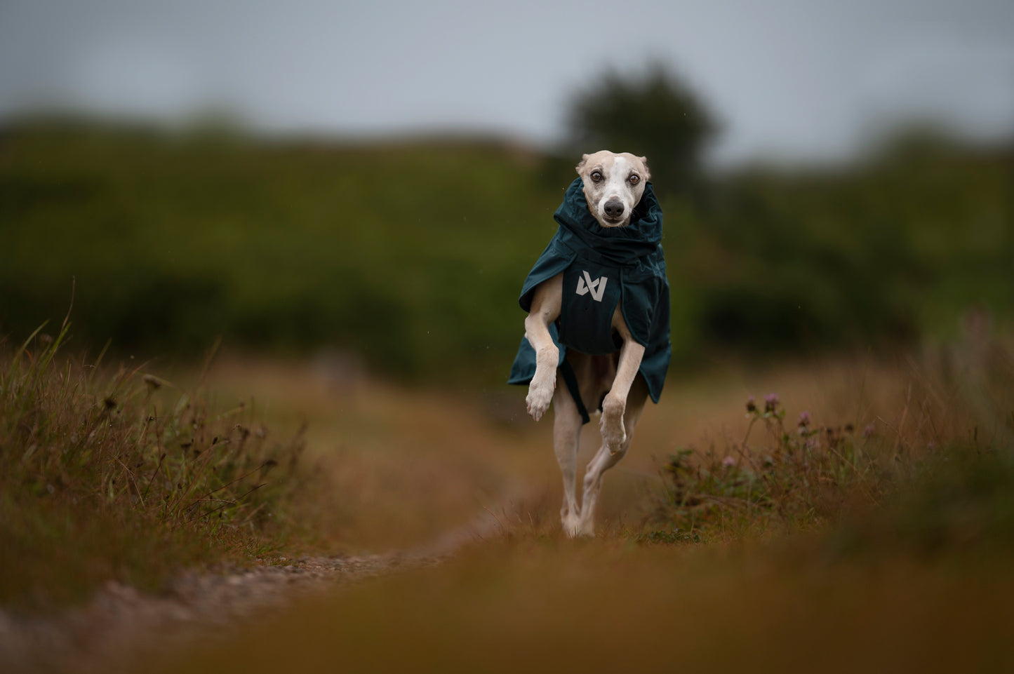 Non-stop dogwear - Fjord lined Raincoat