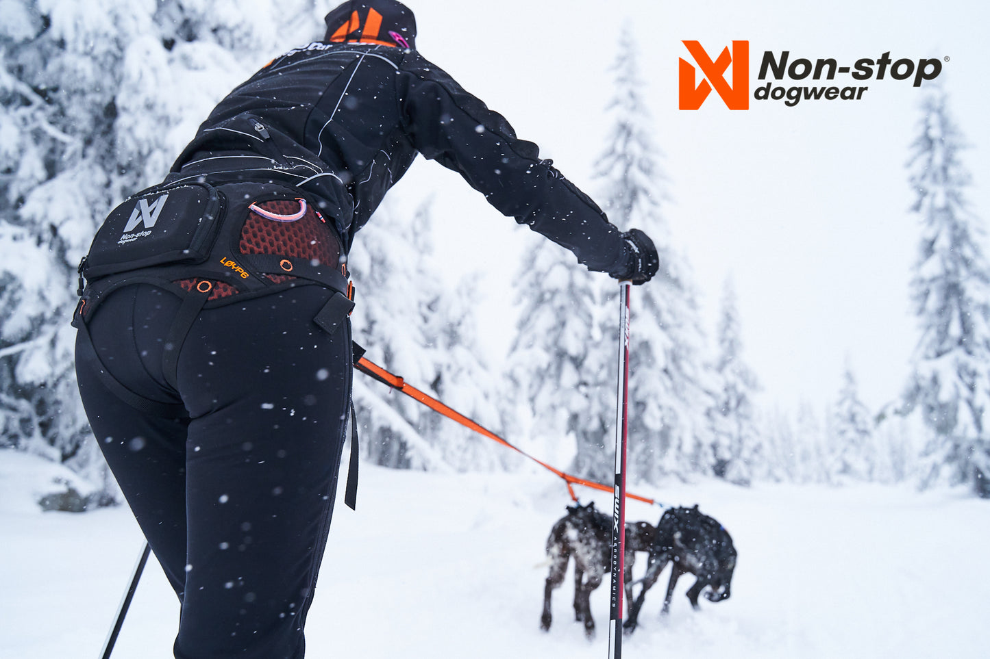 Non-stop dogwear - Løype Belt