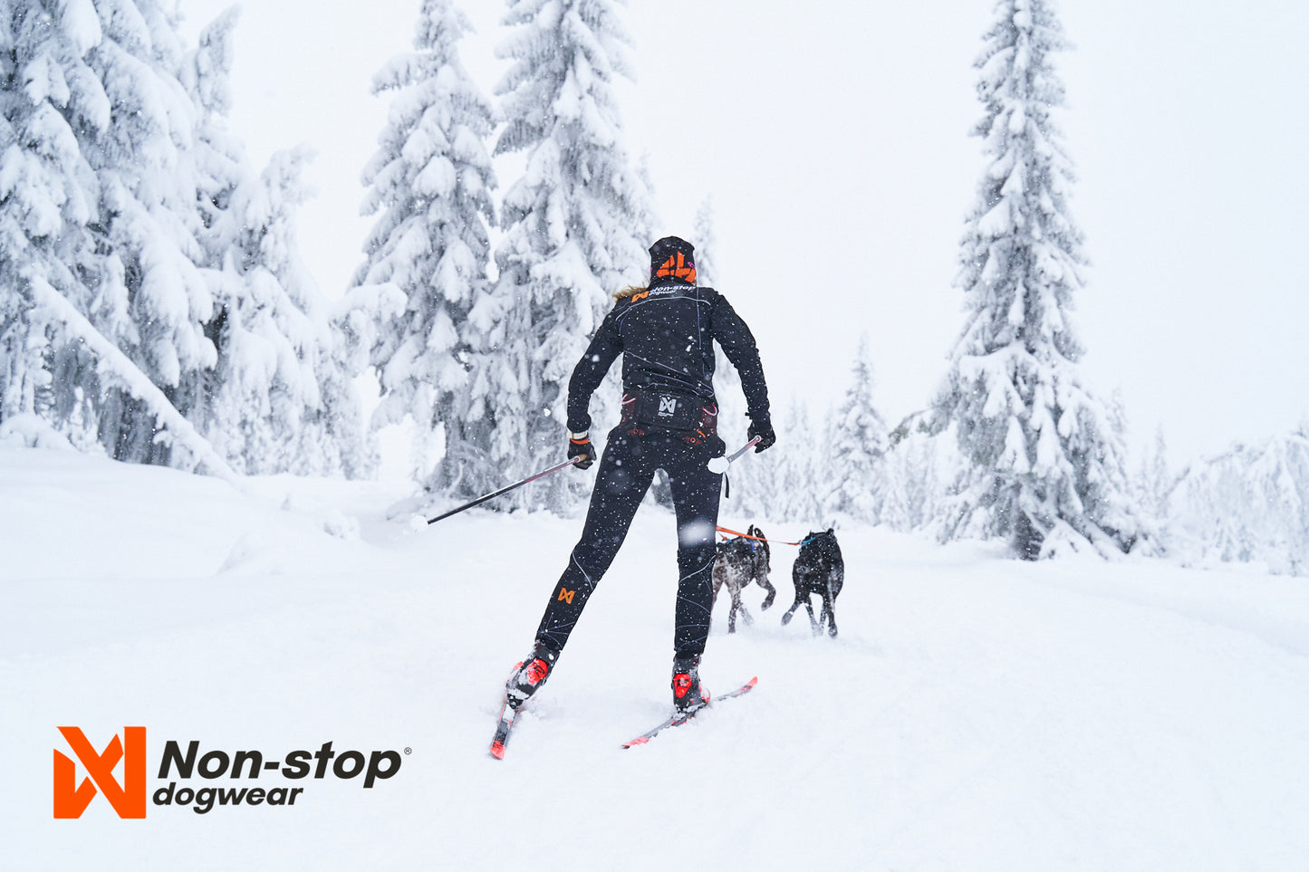 Non-stop dogwear - Løype Belt
