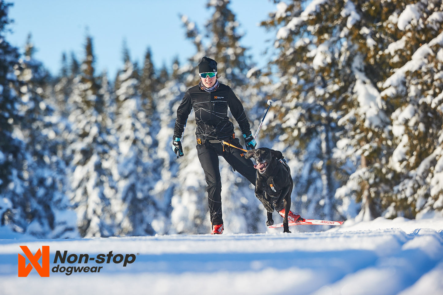 Non-stop dogwear - Løype Belt