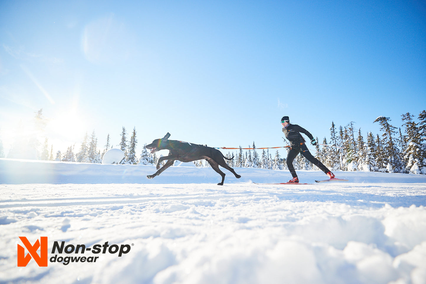 Non-stop dogwear - Løype Belt