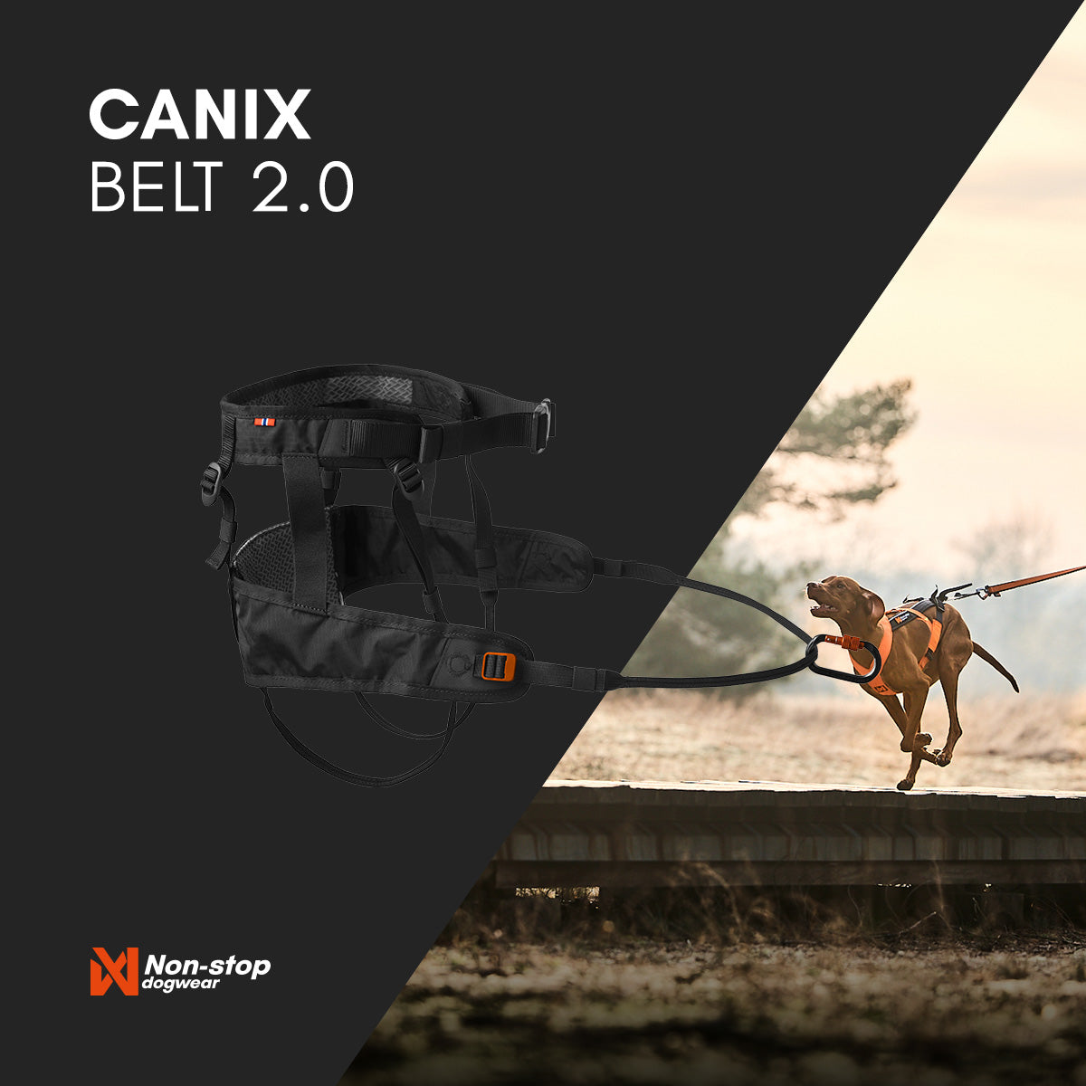 Non-stop dogwear - CaniX Belt 2.0