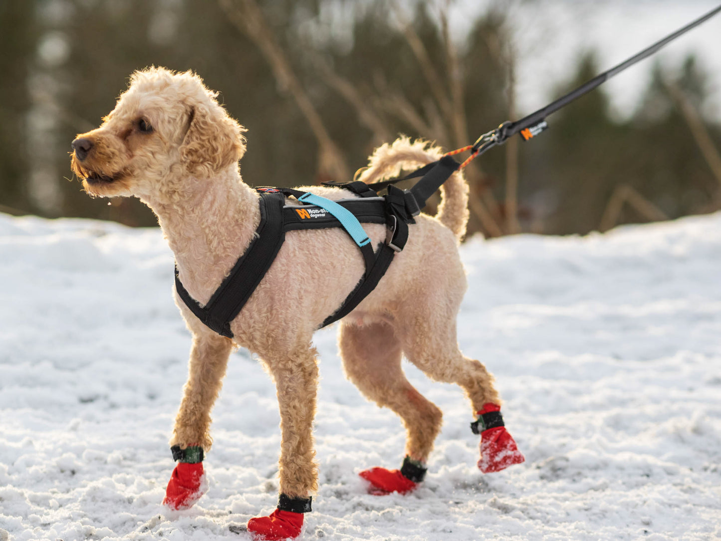 Non-stop dogwear - Freemotion harness