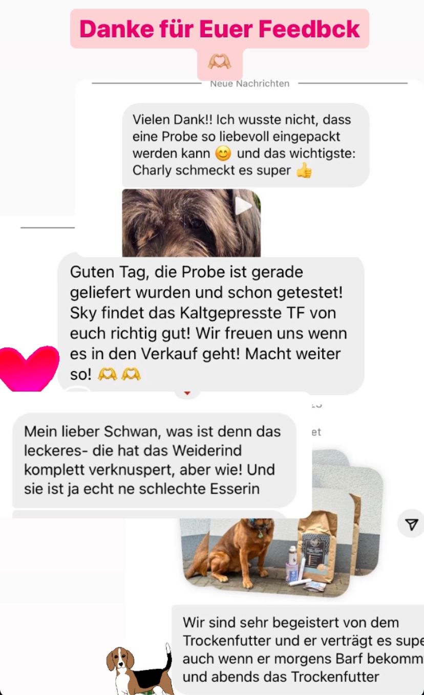 Kaltgepresstes Trockenfutter Weiderind mit Kartoffel/Kürbis