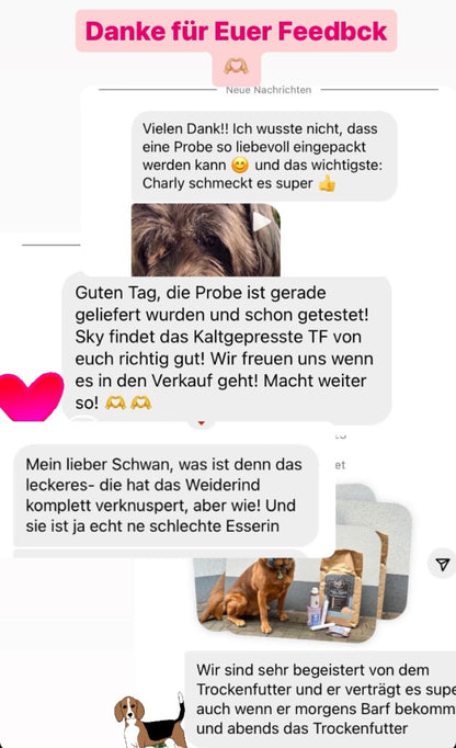 Kaltgepresstes Trockenfutter Weiderind mit Kartoffel/Kürbis