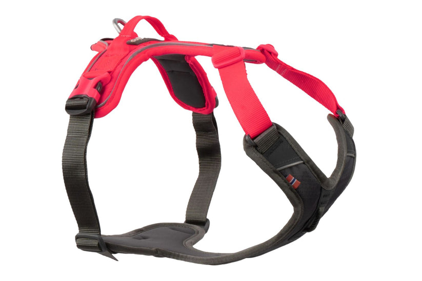 Non-stop dogwear - Ramble harness