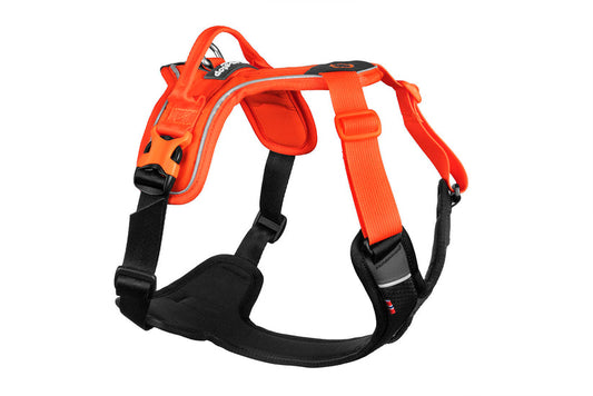 Non-stop dogwear - Rock Harness