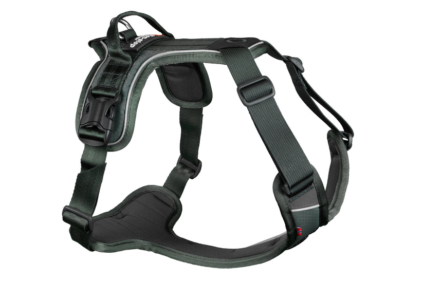 Non-stop dogwear - Ramble harness