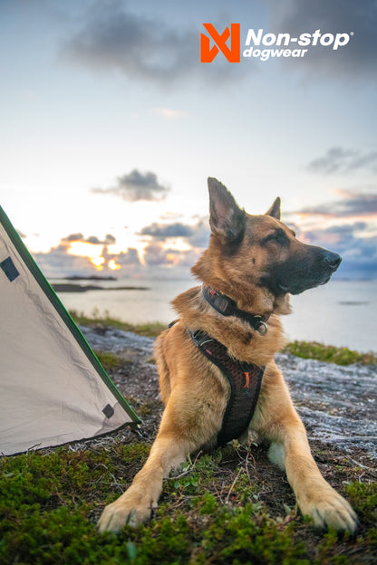Non-stop dogwear - Rock harness