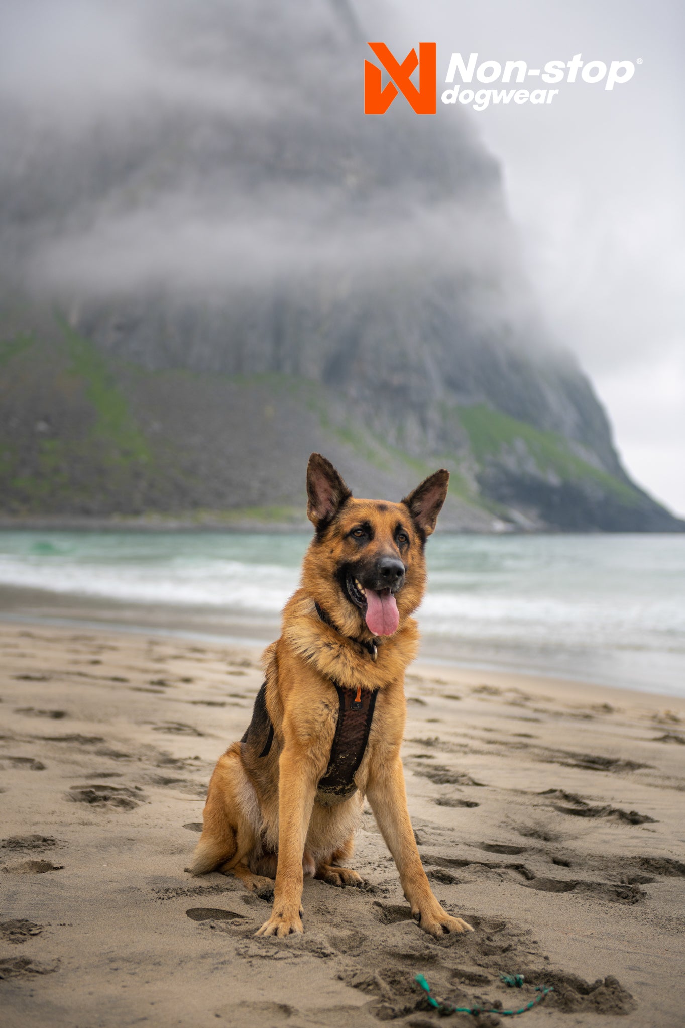 Non-stop dogwear - Rock harness