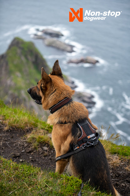 Non-stop dogwear - Rock harness