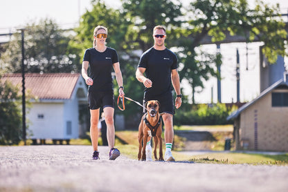 Non-stop dogwear - Rock harness