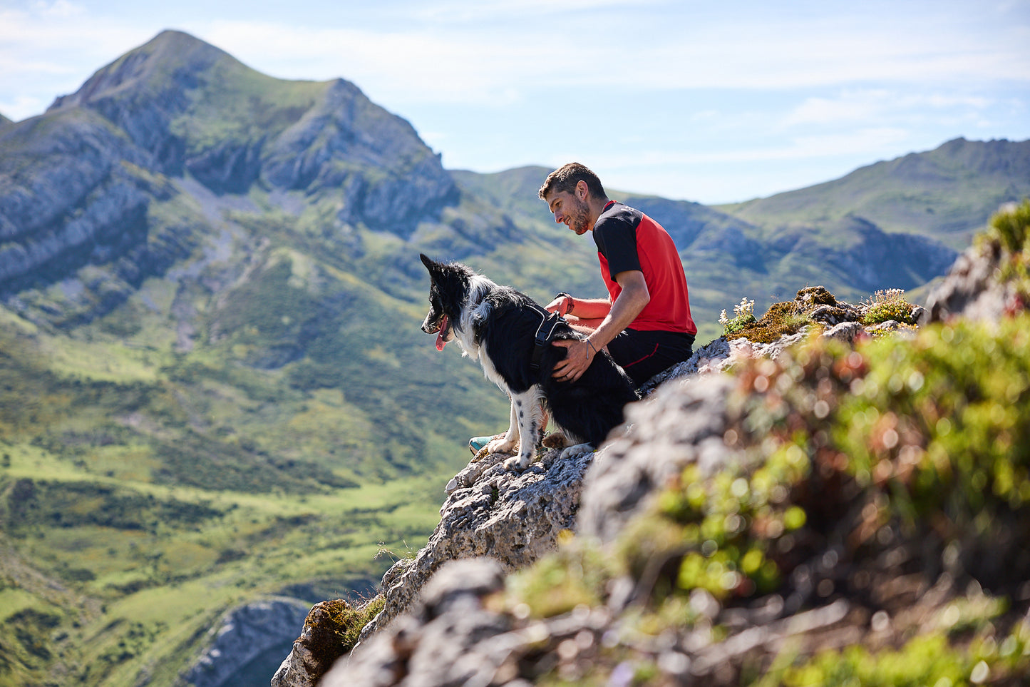 Non-stop dogwear - Rock harness