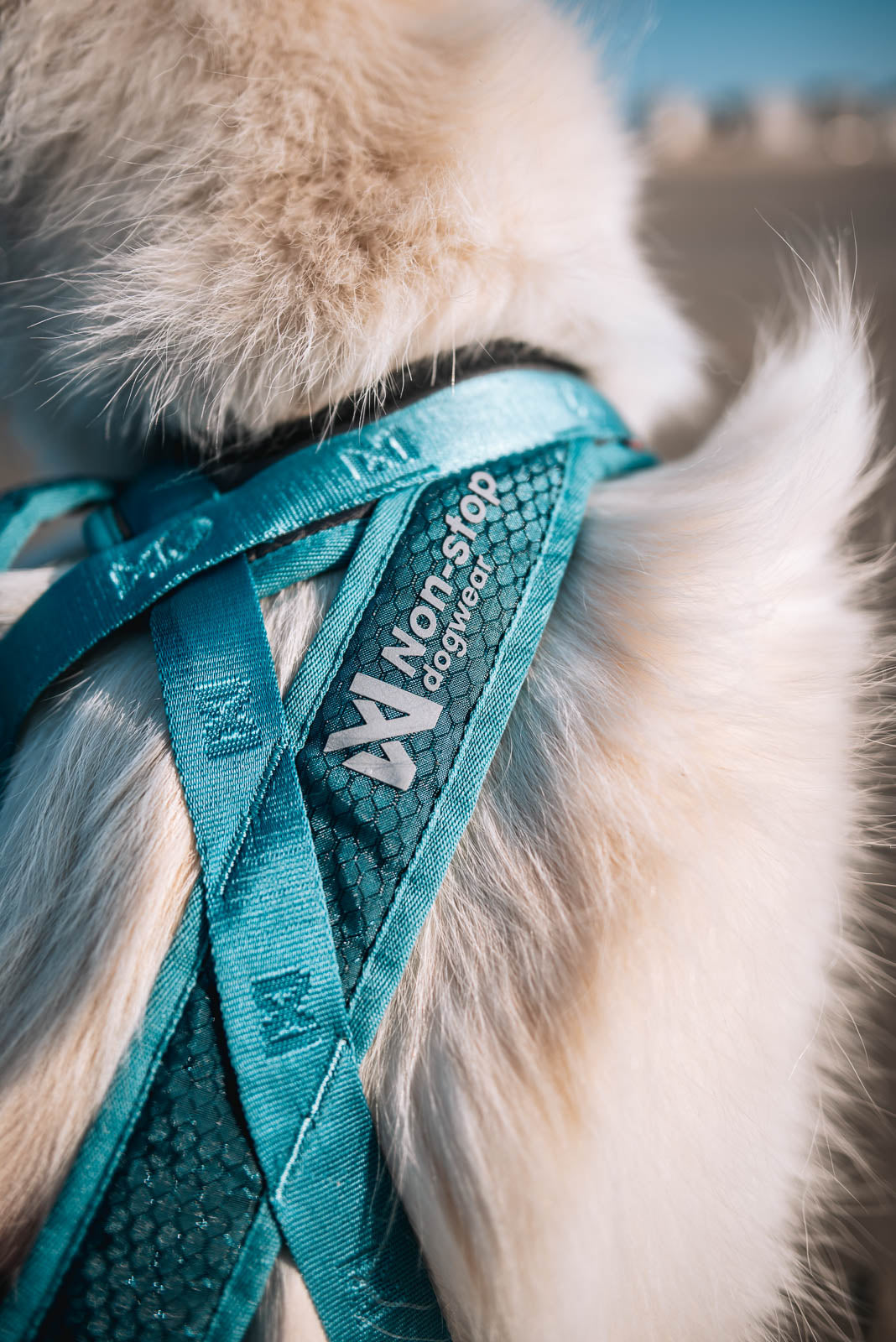 Non-stop dogwear - Rush harness