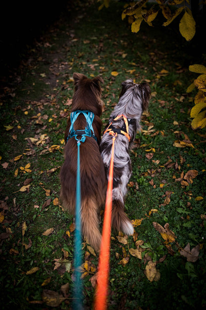 Non-stop dogwear - Rush harness