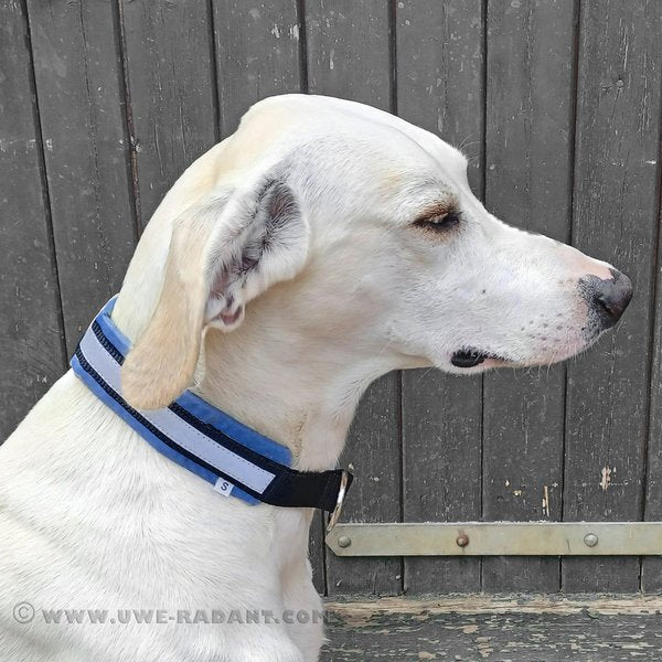 Weltmeisters Dogsport Soft Zugstopp-Halsband