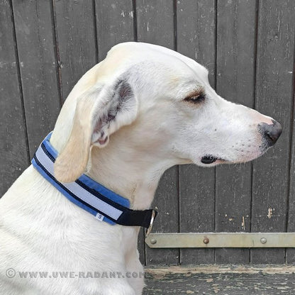 Weltmeisters Dogsport Soft Zugstopp-Halsband