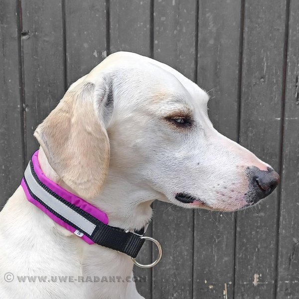 Weltmeisters Dogsport Soft Zugstopp-Halsband