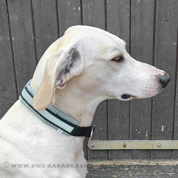Weltmeisters Dogsport Soft Zugstopp-Halsband