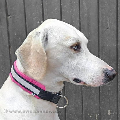 Weltmeisters Dogsport Soft Zugstopp-Halsband