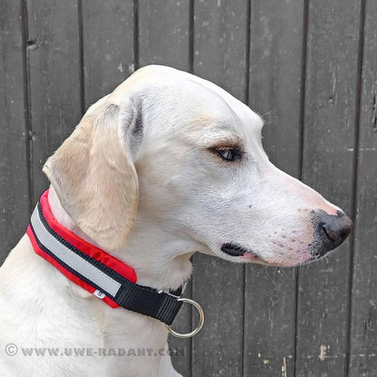 Weltmeisters Dogsport Soft Zugstopp-Halsband