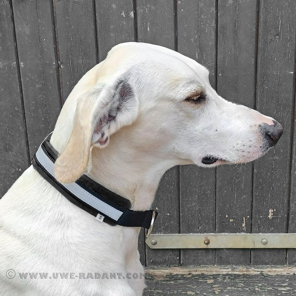Weltmeisters Dogsport Soft Zugstopp-Halsband