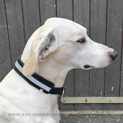 Weltmeisters Dogsport Soft Zugstopp-Halsband