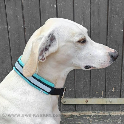 Weltmeisters Dogsport Soft Zugstopp-Halsband