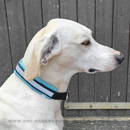 Weltmeisters Dogsport Soft Zugstopp-Halsband