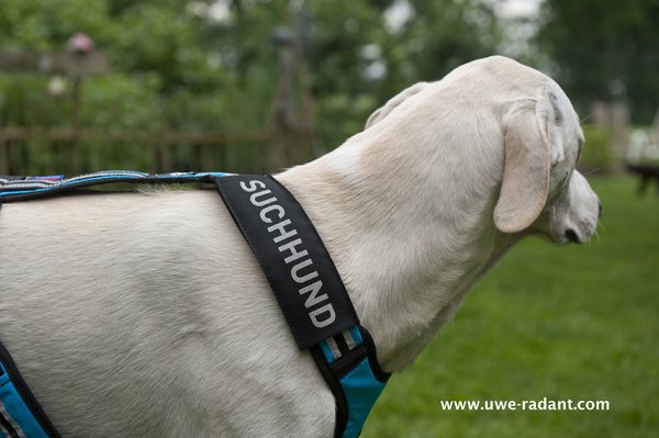 World Champion Dogsport Label Search Dog