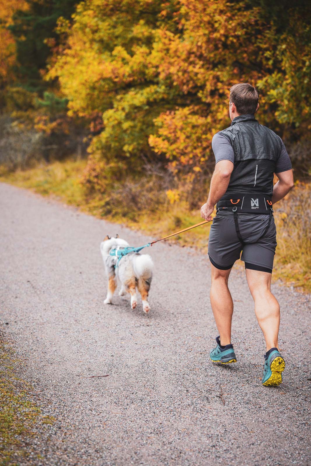 Non-stop dogwear - Trekking Belt 2.0